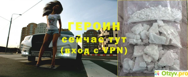 сатива Бородино