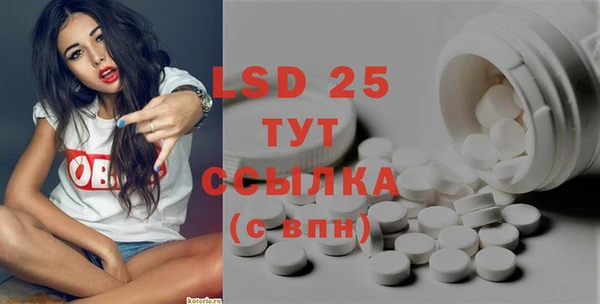 прущие грибы Богородицк