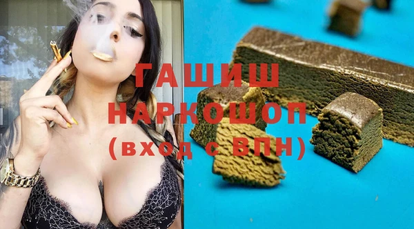 сатива Бородино