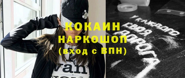 сатива Бородино