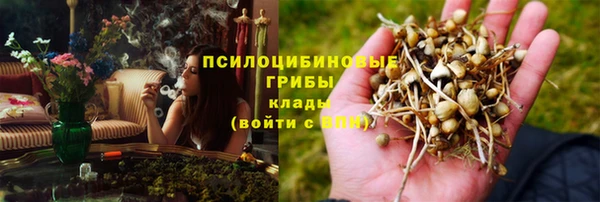 дурь Бронницы