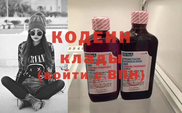 сатива Бородино