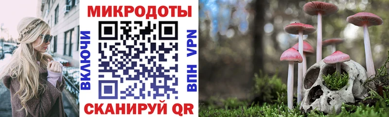 Псилоцибиновые грибы Magic Shrooms  наркошоп  Вязьма 